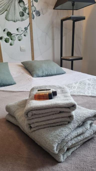 Hsh France Location Disney Land Paris - Suite Nicolas - Appartement De Charme بوسي سان جورْج المظهر الخارجي الصورة